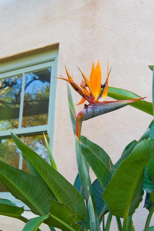 Babette Bed And Breakfast Swellendam Exteriér fotografie