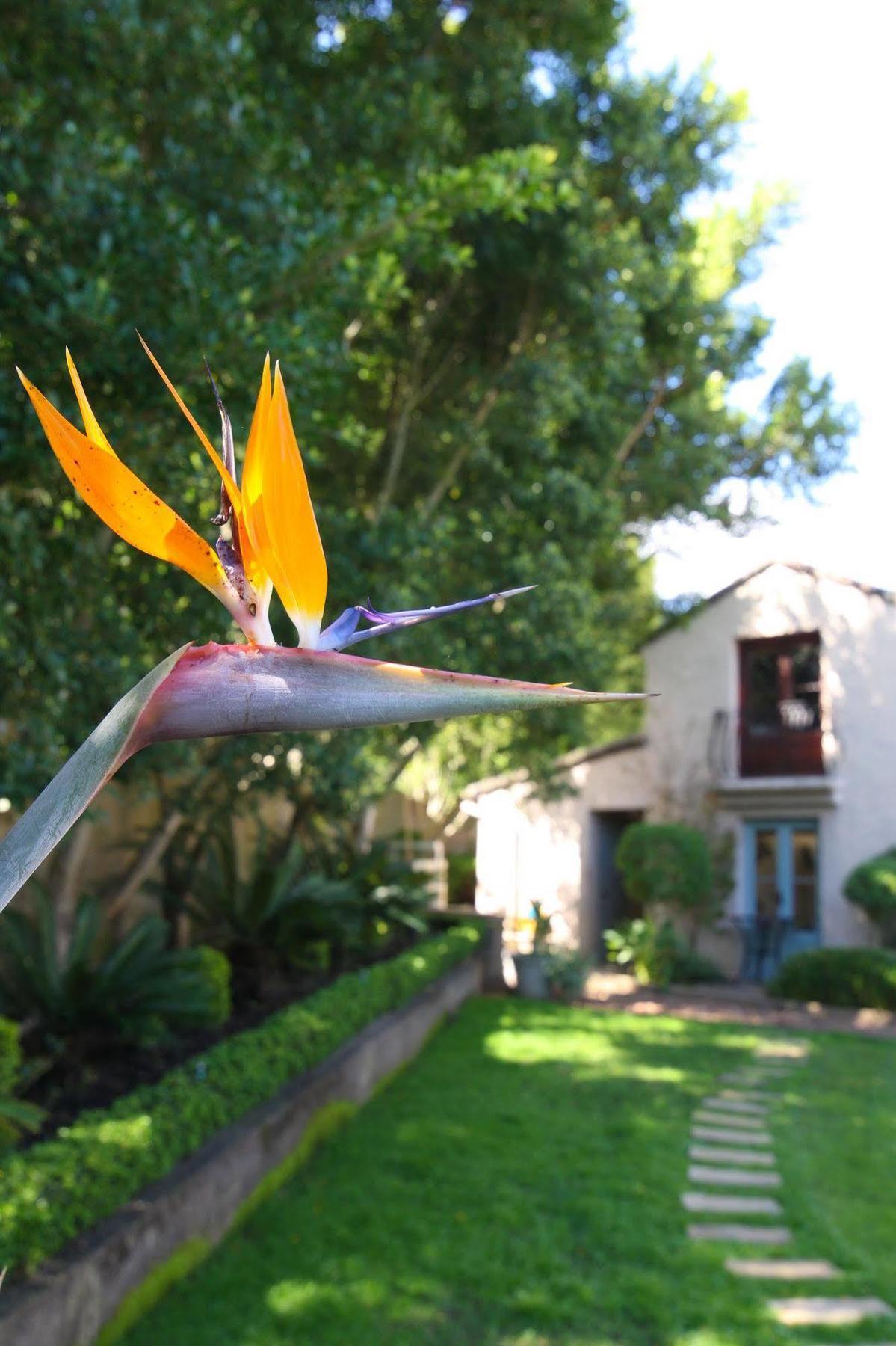 Babette Bed And Breakfast Swellendam Exteriér fotografie